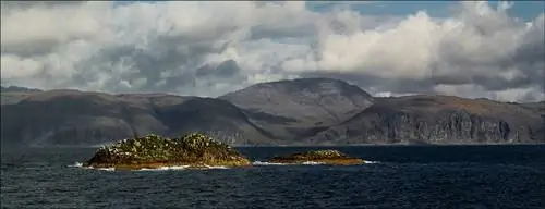 Картина Картина