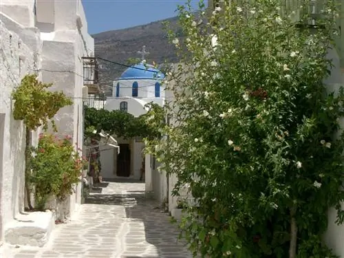 Картина Картина