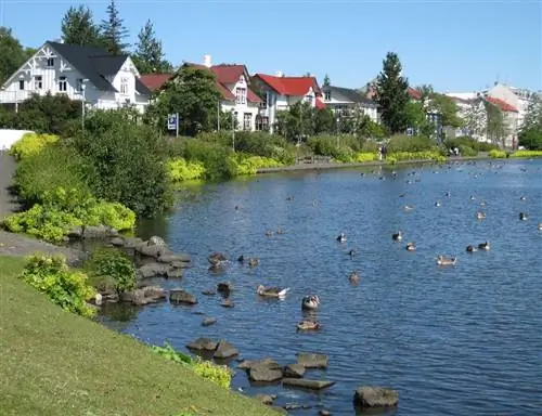 Картина Картина