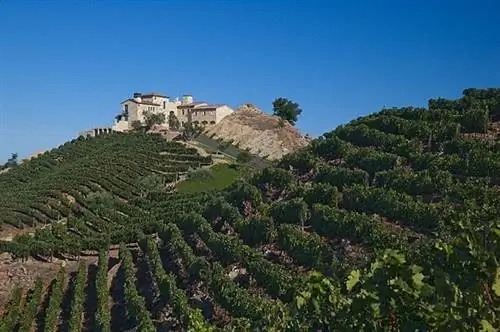 Калифорния: виноградник, похожий на рай