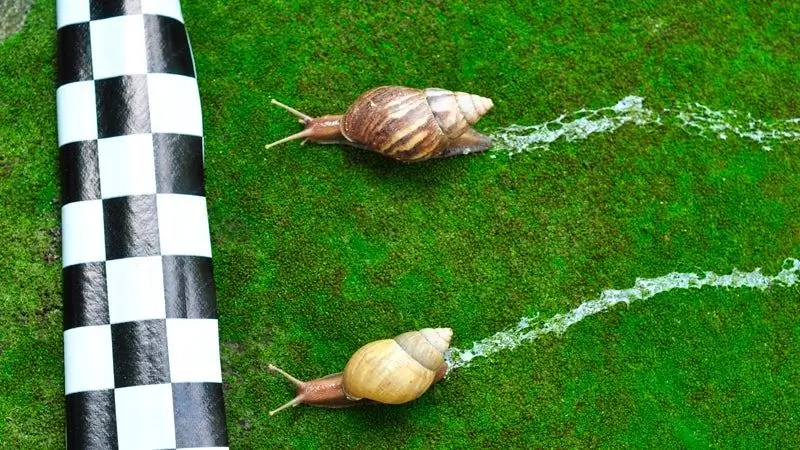 Как быстро я могу вернуться в форму гонки?