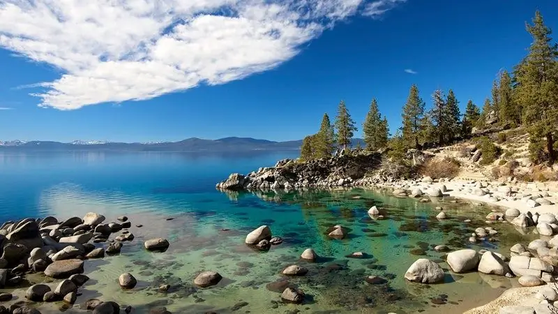 Где я могу пить пиво на улице и в обнаженном виде?