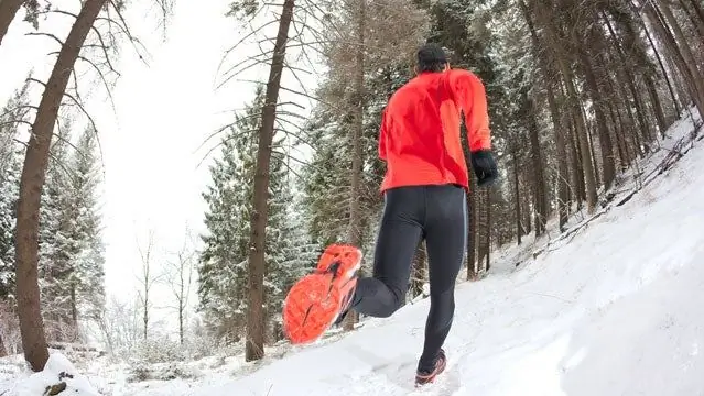 Важна ли гидратация зимой и летом?