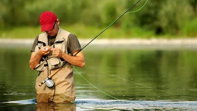Какие кулики лучше всего подходят для весенней рыбалки?