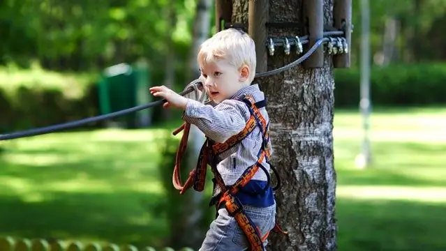 Какой лучший комплект Zipline для моего заднего двора?