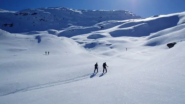 Снегоступы или беговые лыжи: что лучше всего для знакомства с бэккантри?