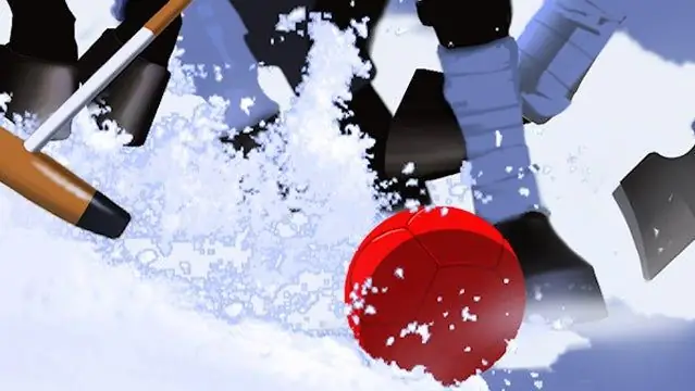 В чем дело со снежным поло?