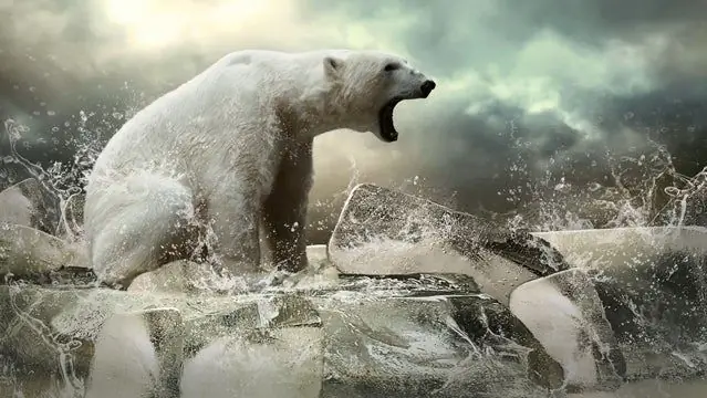 Что делать, если вы попали в замороженный рассол?