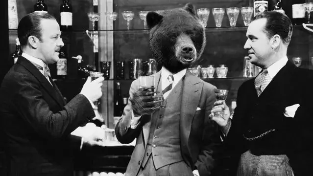 Привлекает ли пиво медведей?