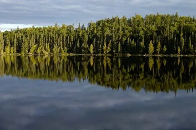 Край пустыни