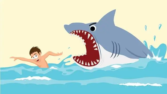 Стоит ли мне беспокоиться о нападении акулы?