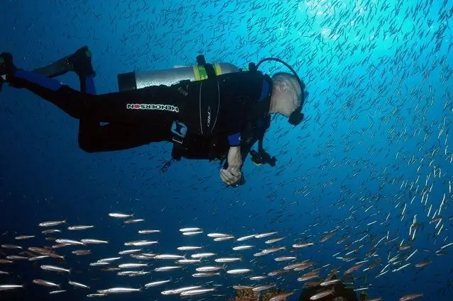 Какое лучшее место для зимнего дайвинга?