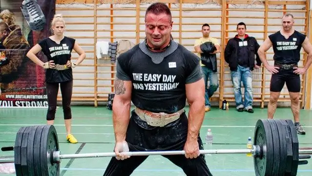 Как сила мышц связана с размером?