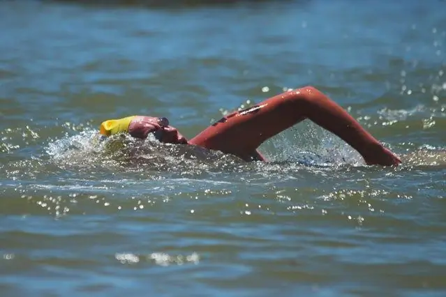 Следует ли мне плавать в открытой воде после дождя?