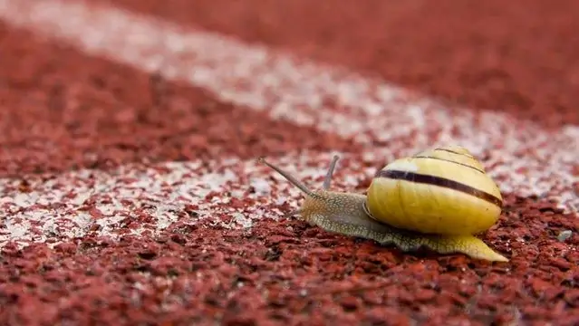 Почему я медленный спортсмен?