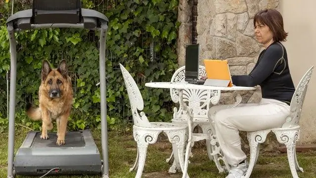 Какая лучшая альтернатива беговой дорожке?