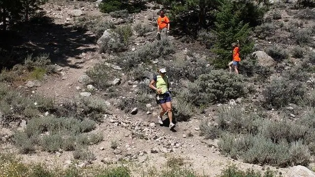 Работают ли высотные палатки?