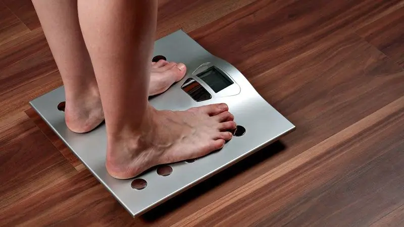 Будет ли более частое питание помочь мне похудеть?