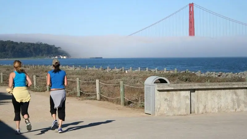 Что такое зрелище и где это можно сделать?