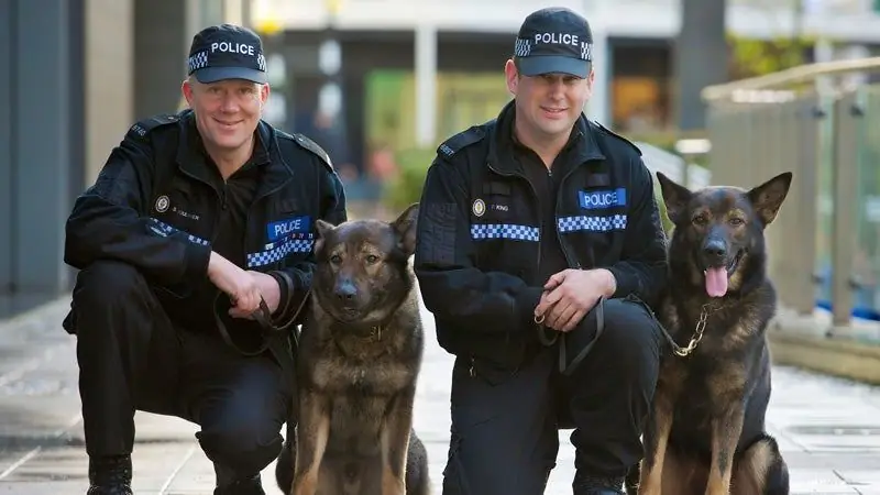 Упражнение без наручников