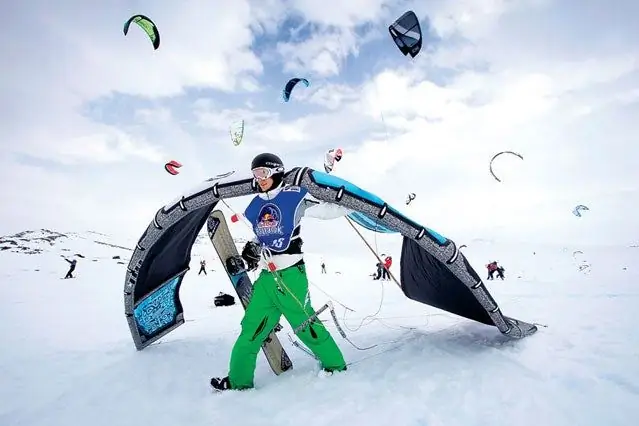 Братство крыльев