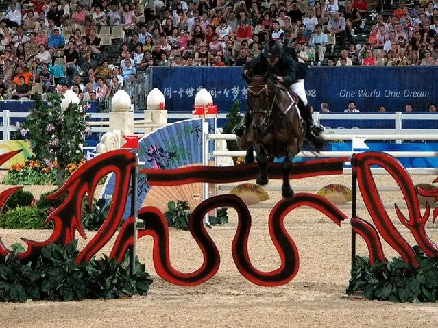 Предварительный просмотр спорта, о котором вы ничего не знаете: конный спорт