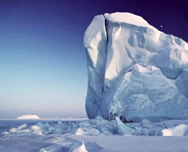 Непрекращающиеся страдания на замерзшем севере