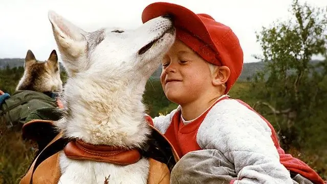 О том, что делает собаку хорошей