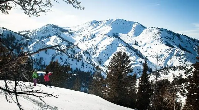 Хотите создать сообщество горячих молодых предпринимателей? Почему бы не купить гору?