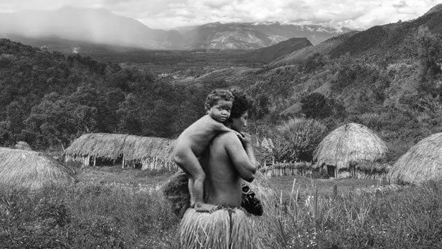 Краткий обзор новейшего трактата Джареда Даймонда о человечестве