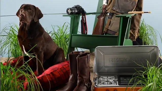 В защиту собак тщеславия