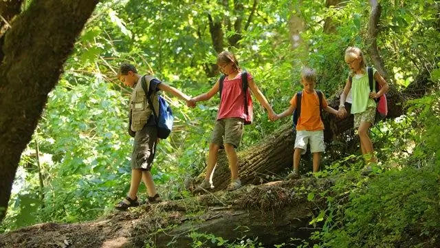 Загадка летнего лагеря