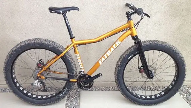 Шестимесячный тест: Speedway Cycles Aluminium Fatback