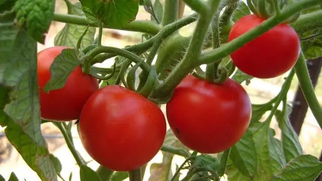 Как продлить срок службы продукции