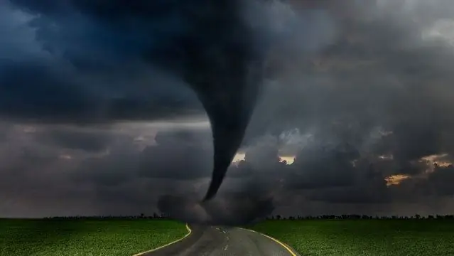 Как выжить в торнадо