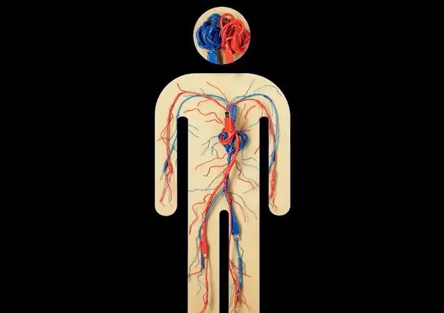 Использование технологий для улучшения вашей физической формы
