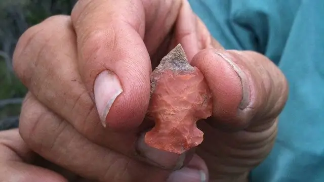 Arrowhead, Rattlesnake, Funnel Clouds: Летние подарки детям