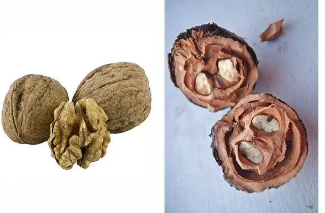 Черные грецкие орехи