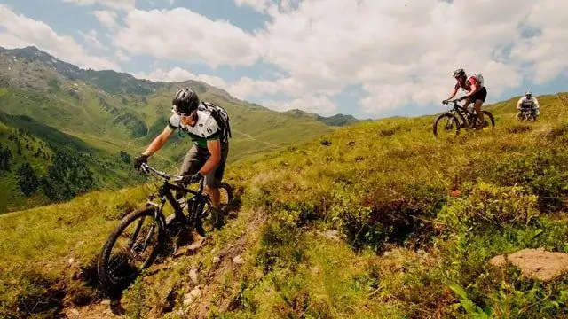 Велосипедист заблудился в лесу