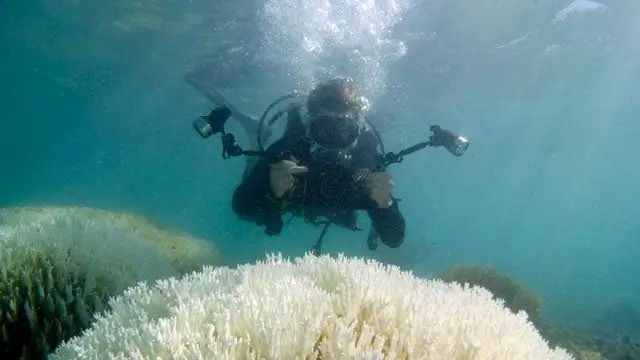 Наблюдая за изменением климата под водой