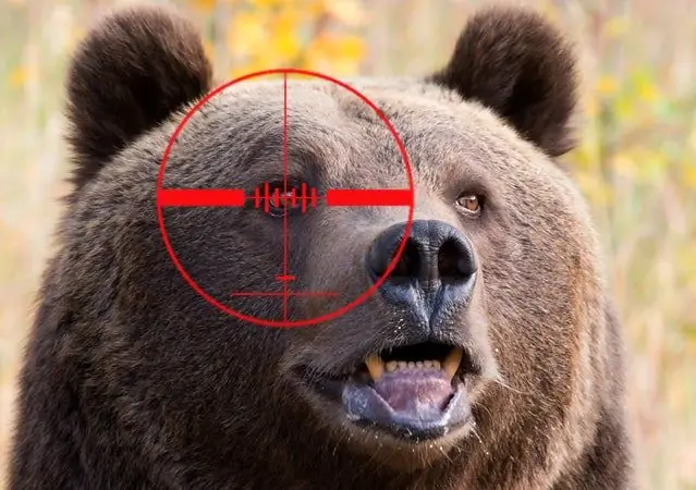 С ростом числа смертоносных атак федеральные чиновники готовятся снять защиту от гризли