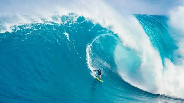 Wave Prophet: Дэвид Скард из World Surfari