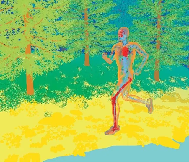 Бесплатная медицина