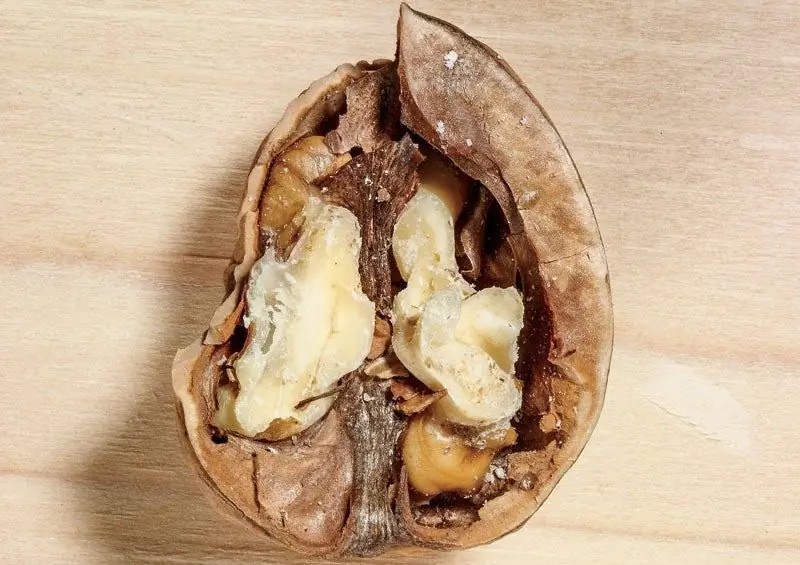 Взломать мозг спортсмена