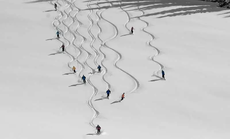 Оценка Prime Powder по сниженной цене