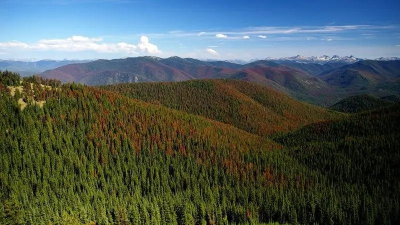 Убивать жуков по максимуму - с новым снаряжением