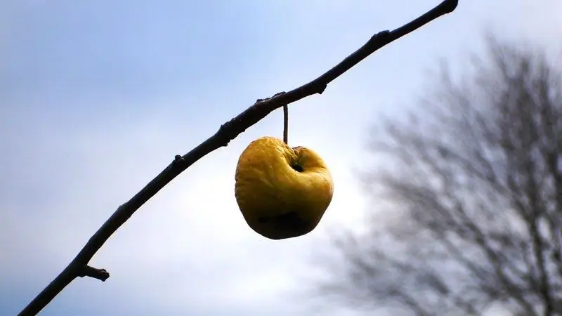 Это твой мозг без сна