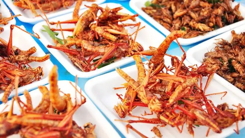 Награды за аппетит к приключениям