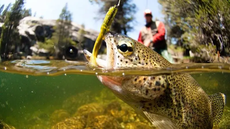 Высокотехнологичные рыболовные снасти