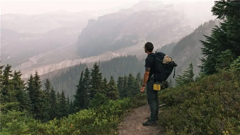 Почему даже немного природы полезно для вашего мозга
